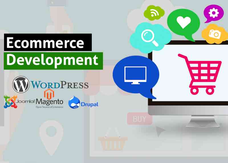 Ecommerce Website Development